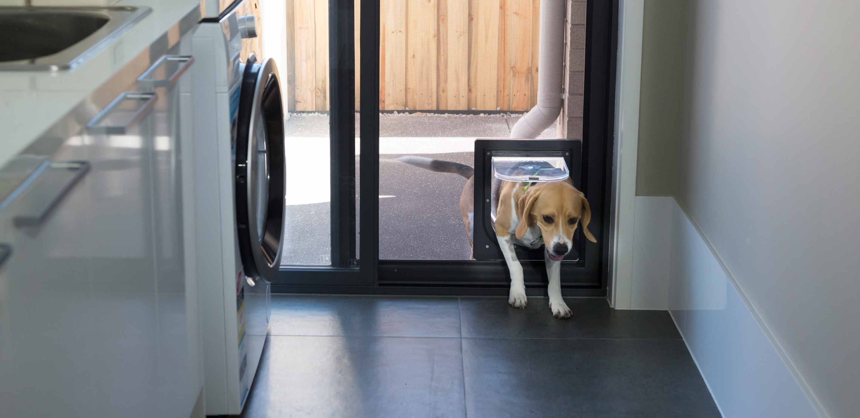 Pet Doors for Window Screens & Doors